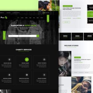 Pain – Charity & Fundraise Non-Profit PSD Template