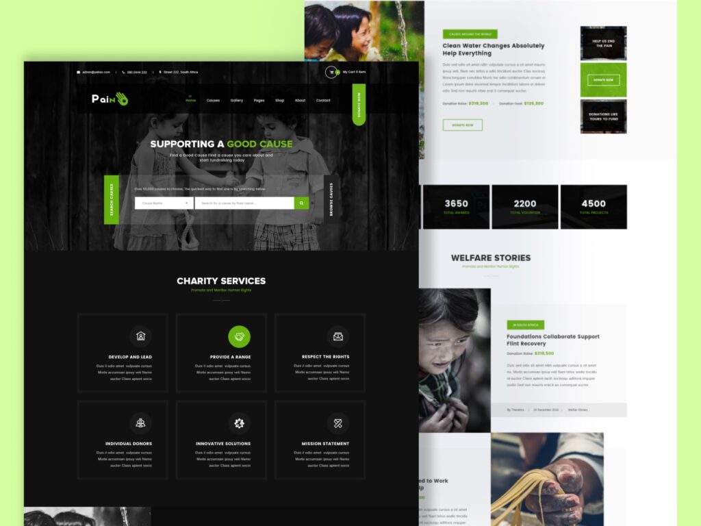 Pain – Charity & Fundraise Non-Profit PSD Template